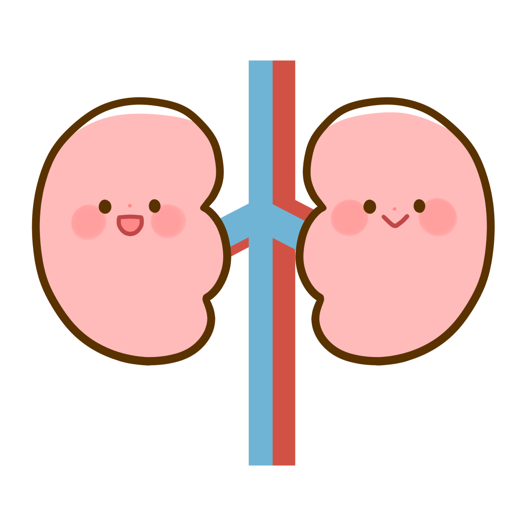 慢性腎臓病（CKD）と診断されたら ― 最初に大切なこと、続けて大切なこと